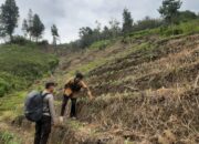 Warga Dusun Palian Antusias Tanam Jagung, Dukung Ketahanan Pangan di Desa Datubaringan