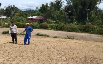 Bhabinkamtibmas Polsek Sumarorong Monitoring Pendataan Warga Penanam Jagung di Desa Sasakan