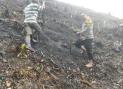 Bhabinkamtibmas Polsek Sumarorong Polres Mamasa Dukung Ketahanan Pangan Lewat Penanaman Jagung di Desa Malimbong