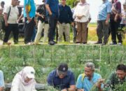 Bupati Genjot Program Unggulan Ketahanan Pangan, Deli Serdang Raih Prestasi Inflasi Terendah Per Januari 2026