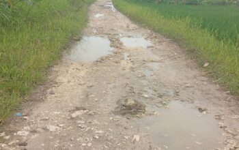 Jalan Alternatif Penghubung Desa Grawan Menuju Desa Mbodeh Rusak Parah
