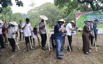 Dukung Ketahanan Pangan Nasional, Polres Gowa Ambil Bagian dalam Penanaman Jagung 812 Hektare