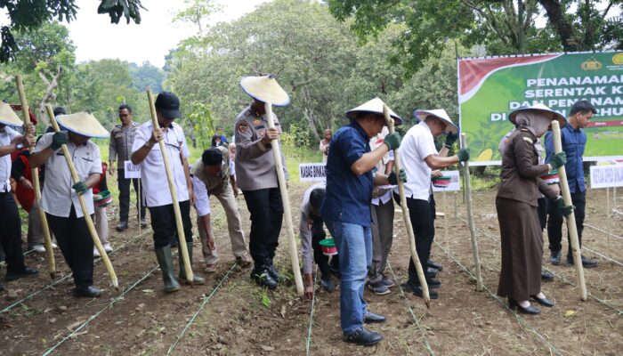 Dukung Ketahanan Pangan Nasional, Polres Gowa Ambil Bagian dalam Penanaman Jagung 812 Hektare