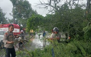 Sigap Bantu Warga, Bhabinkamtibmas Evakuasi Mobil Tertimpa Pohon Tumbang
