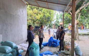 Wakapolres Majene Pantau Hasil Panen dan Pengeringan Jagung BUMDes Batros, Dukung Ketahanan Pangan Nasional