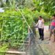 Bhabinkamtibmas Polsek Banggae Gerakkan Warga Segeri Manfaatkan Pekarangan Jadi Kebun Hortikultura Produktif