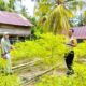 Dorong Ketahanan Pangan, Bhabinkamtibmas Banggae Pantau Budidaya Cabai di Lahan P2B Baruga Dhua