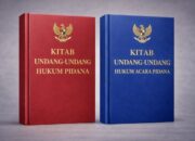 Praktisi Hukum dan Akademisi Sumatera Utara menanggapi KUHP dan KUHAP memberikan harapan baru bagi jalannya sistem di Indonesia.
