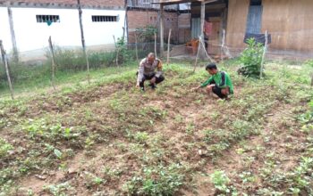 Bhabinkamtibmas Polsek Malunda Ajak Warga Kelola Pekarangan Jadi Lumbung Pangan Keluarga