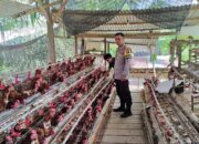 Bhabinkamtibmas Polsek Sarudu Sambangi Peternak Ayam di Benggaulu, Perkuat Keamanan dan Dukung Usaha Produktif Warga