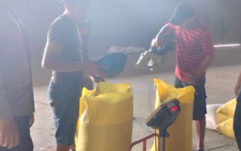 Personel Polsek Mamasa Dampingi Pengiriman Jagung ke Bulog Polewali Mandar