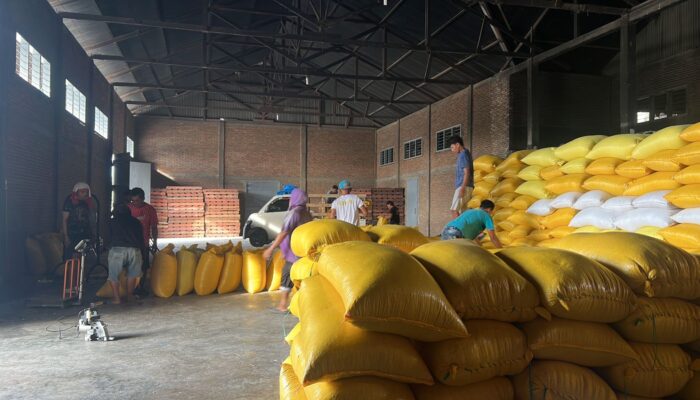 Personel Polsek Mamasa Dampingi Pengiriman Jagung ke Bulog Polewali Mandar