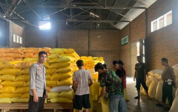 Kapolsubsektor Luyo Dampingi Penjualan 1,7 Ton Jagung ke Bulog