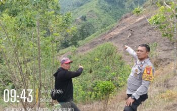Bhabinkamtibmas Polsek Mambi Monitoring Lahan Jagung di Desa Salumaka