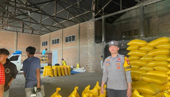 Personel Polsek Aralle Kawal Pengiriman 1,5 Ton Jagung Petani ke BULOG Polewali Mandar