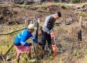 Bhabinkamtibmas Polsek Sumarorong Dampingi Penanaman Jagung 1 Hektare di Desa Rippung