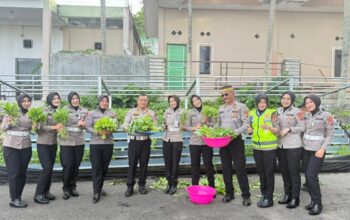 Panen Perdana Pekarangan Pangan Lestari Ditlantas Polda Sulbar, 100 Paket Sayur-Mayur Dibagikan Gratis ke Pengendara Tertib