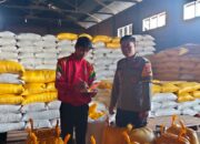 Personel Polsek Mamasa Dampingi Pengiriman Jagung Petani ke Bulog Polewali