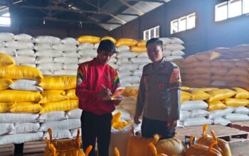 Personel Polsek Mamasa Dampingi Pengiriman Jagung Petani ke Bulog Polewali