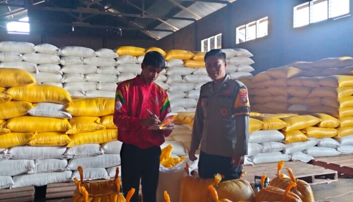 Personel Polsek Mamasa Dampingi Pengiriman Jagung Petani ke Bulog Polewali