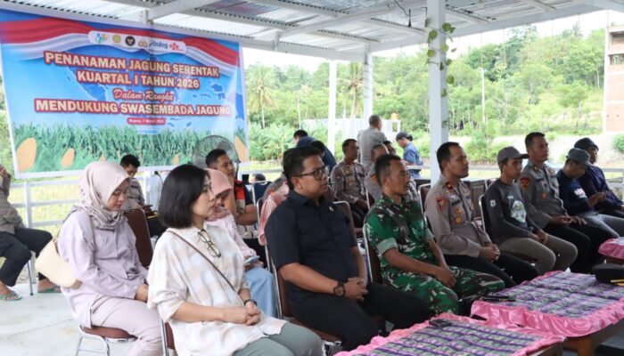 Wakapolres Majene Ikuti Penanaman Jagung Serentak Kuartal I 2026 Dukung Program Swasembada Pangan Nasional