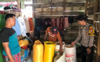 Bhabinkamtibmas Tubo Sendana Kontrol Hasil Panen Jagung, Dorong Petani Jual Hasil ke Bulog
