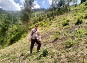 Bhabinkamtibmas Polsek Pana Monitoring Lahan Persiapan Tanam Jagung di Desa Tallang Bulawan