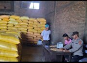 Polsek Tabulahan Dampingi Penjualan Hasil Panen Jagung Petani ke Bulog di Desa Lakahang Utara