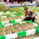 Bhabinkamtibmas Polsek Banggae Pantau Kebun Dasawisma di Kanappe, Dorong Ketahanan Pangan Warga