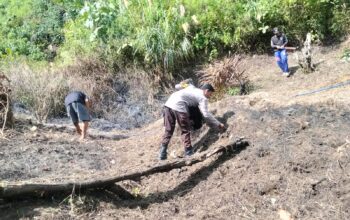 Bhabinkamtibmas Aralle Monitoring Lahan Jagung Warga di Dusun Kurasa untuk Dukung Ketahanan Pangan