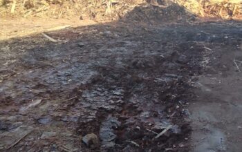 Skandal BBM dan Lingkungan di Pabrik Triplek Gunungkencana: Apakah Hukum Berlaku Sama untuk Semua?