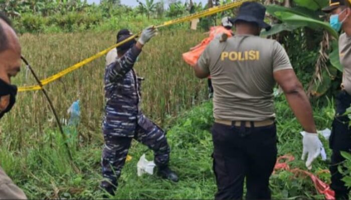 Mayat Perempuan Membusuk Ditemukan di Pinggir Sawah Banyuasin, Diduga ODGJ