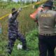 Mayat Perempuan Membusuk Ditemukan di Pinggir Sawah Banyuasin, Diduga ODGJ