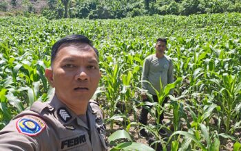 Dari Desa untuk Negeri: Polri dan Warga Bersatu Jaga Ketahanan Pangan