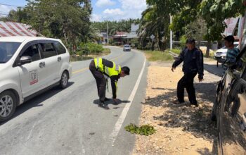 Respon Cepat Sat Lantas Polres Pasangkayu Tangani Laka Lantas Maut di Trans Sulawesi