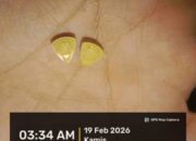 Diduga Jadi Tempat Peredaran Narkoba,   Kapoldasu Diminta Tindak Blue Night