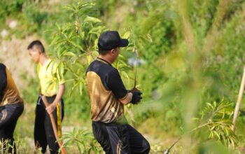 Peduli Lingkungan, Polda Sulbar Gelar Kerja Bakti dan Tanam Pohon