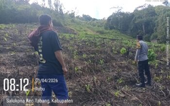 Monitoring Pertumbuhan Jagung di Desa Salukona, Upaya Dukung Ketahanan Pangan Berjalan Optimal