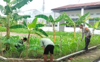 Bersama Warga, Bhabinkamtibmas Polsek Banggae Kembangkan Pekarangan Produktif di Tande Timur