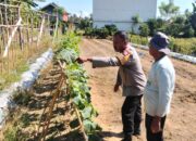 Dorong Warga Lebih Produktif, Bhabinkamtibmas Polsek Malunda Pantau Kebun Buah dan Sayuran di Banua