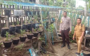 Pemanfaatan Pekarangan Makin Produktif, Bhabinkamtibmas Polsek Sendana Turun Langsung Pantau Kebun Warga