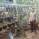 Pemanfaatan Pekarangan Makin Produktif, Bhabinkamtibmas Polsek Sendana Turun Langsung Pantau Kebun Warga