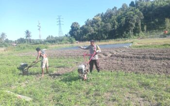 Bhabinkamtibmas Polsek Sendana Turun Tangan, Olah Lahan Hortikultura Bersama Petani di Bonde-Bonde