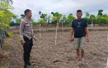 Dukung Ketahanan Pangan, Bhabinkamtibmas Polsek Banggae Tinjau Lahan Siap Tanam Kelompok Tani Sirannuang di Labuang Utara