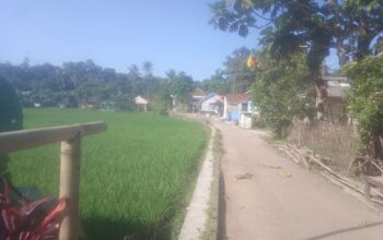 Warga Pertanyakan,Jalan Poros desa sudah 2 periode Belum juga Di Bangun