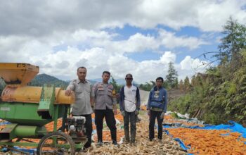 Bhabinkamtibmas Desa Ta’disi Monitoring Pemipilan Jagung, Petani Diarahkan Jual Hasil Panen ke Bulog