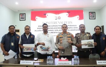 Aktivitas Tambang Emas Ilegal di Kalumpang Terbongkar, Polisi Segera Tetapkan Tersangka