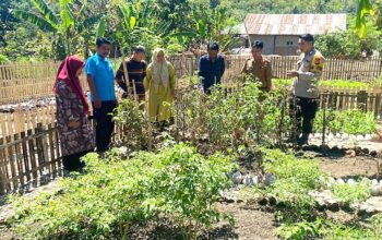 Bhabinkamtibmas Polsek Pamboang Bersinergi dengan Dinas Pertanian, Kebun Dasawisma Adolang Dhua Jadi Penguat Ketahanan Pangan