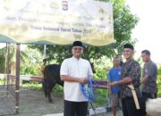 17 Sapi dan 33 Kambing Disembelih, Polda Sulbar Bagikan Daging Qurban untuk Personel dan Masyarakat