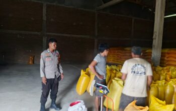 Polsek Mamasa Dampingi Penyaluran 4,5 Ton Jagung ke Bulog Polman, Petani Raup Rp28,8 Juta